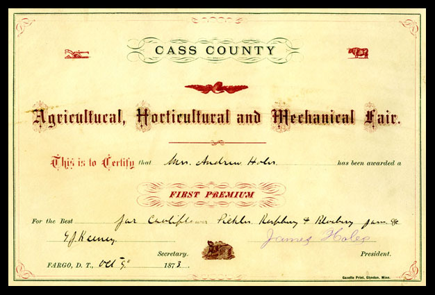 Mrs. Andrew Holes certificate for the 1873 Agricultural, Horticultural and Mechanical Fair